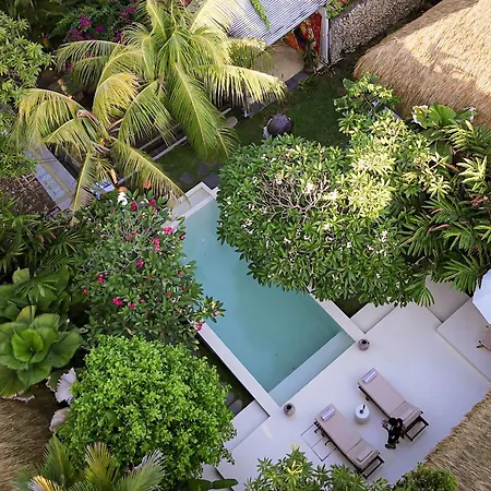 Liv Canggu - An Urban Sanctuary
