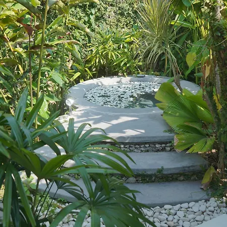 Liv Canggu - An Urban Sanctuary