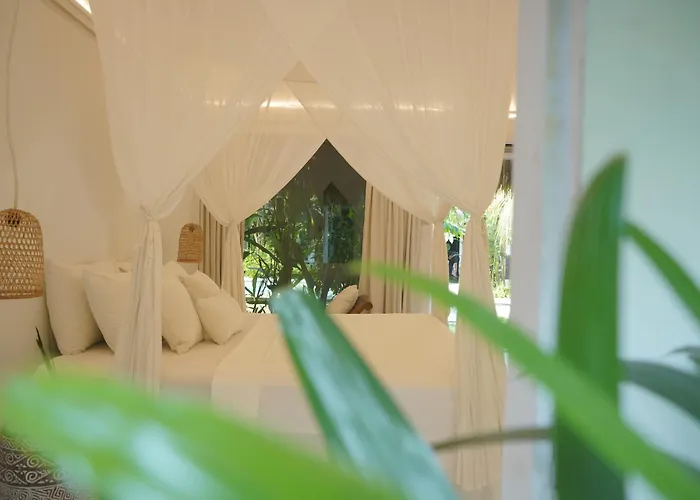 Liv - An Urban Sanctuary